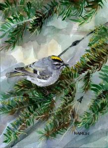 Artist Steve Hamlin In Bird Art Show At The View, Old Forge NY